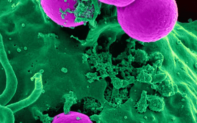 Ubiome: Explore Your Microbiome